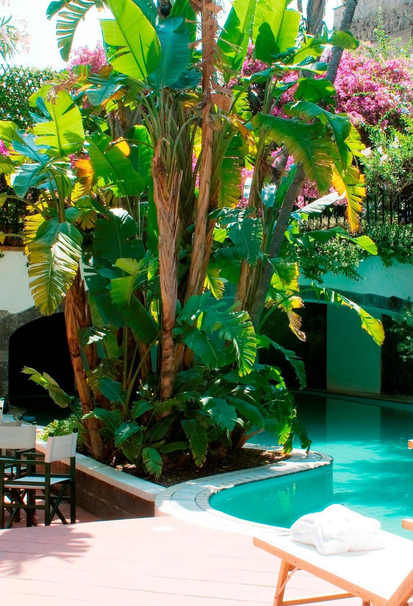 Hotel La Villarosa Terme Ischia Eksteriør bilde