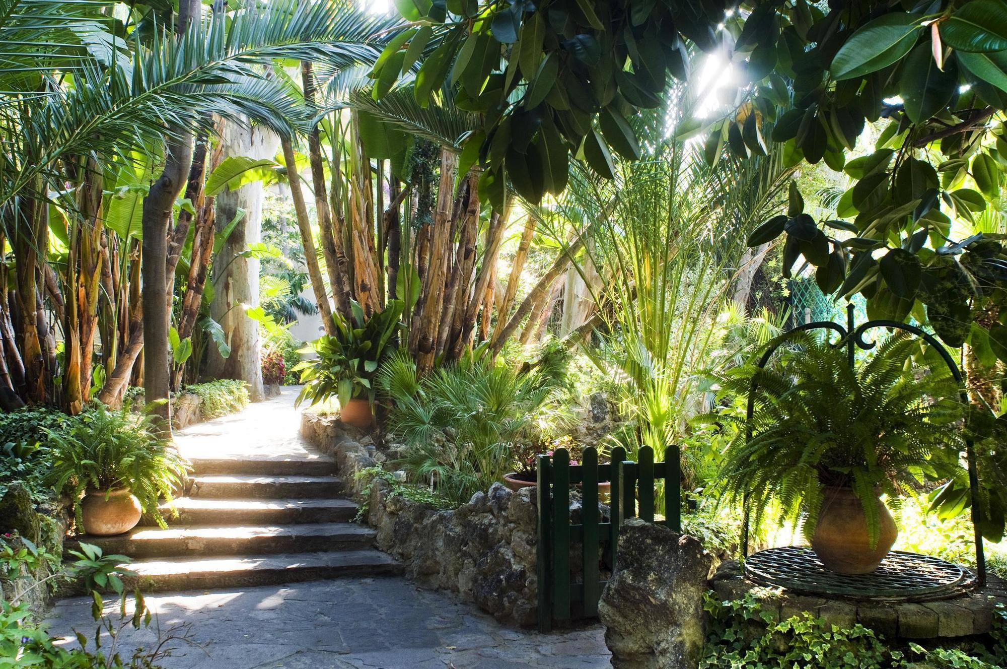 Hotel La Villarosa Terme Ischia Eksteriør bilde